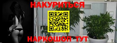 apvp Моздок