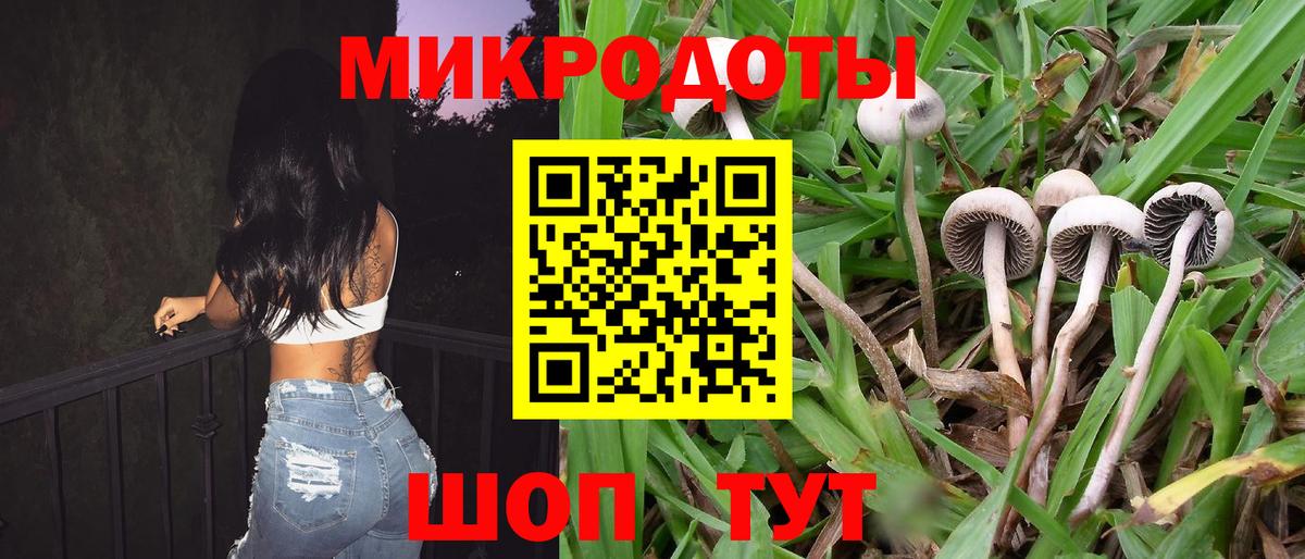 Псилоцибиновые грибы Cubensis Благовещенск