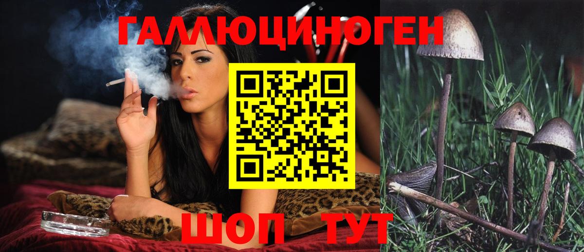 Псилоцибиновые грибы Magic Shrooms  Вход с VPN  Благовещенск 
